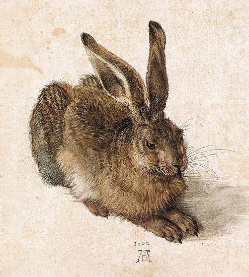 Young Hare, Albrecht Durer
